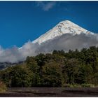 Der Osorno in Chile