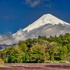 Der Osorno - mein Lieblingsvulkan in Chile
