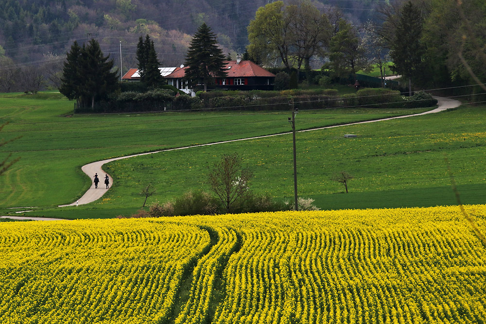 der Oster-Ritt