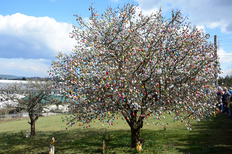 der Ostereierbaum in Saalfeld