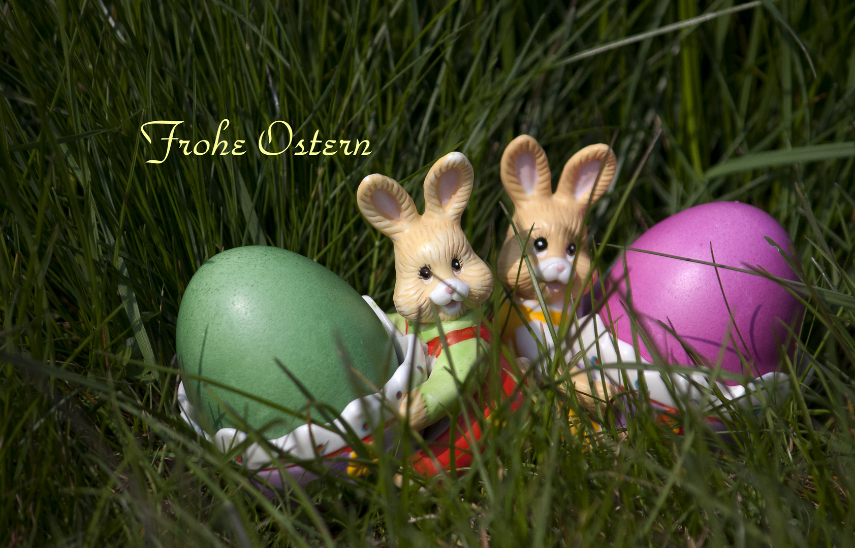 Der Osterhas`,......