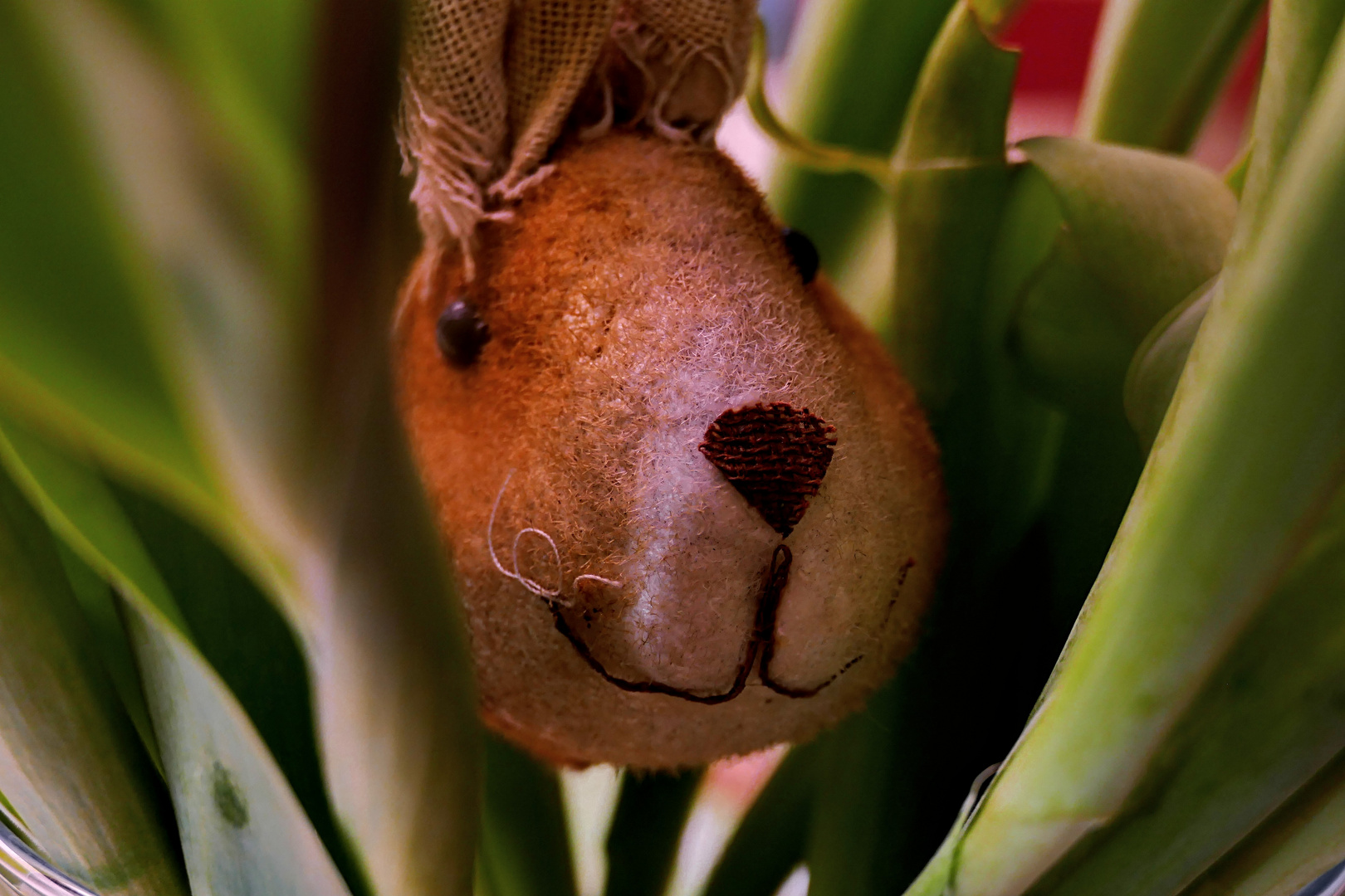 Der Osterhas' treibt sich auch schon wieder rum