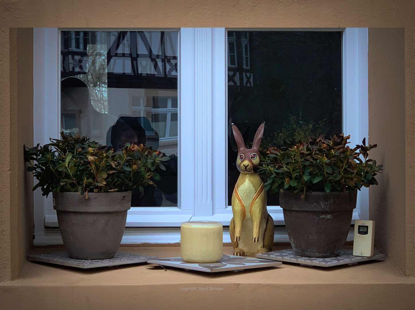 Der Osterhase am Fenster