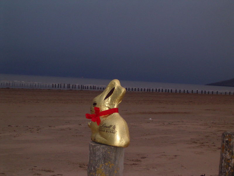 Der Osterhase hat Sehnsucht nach dem Meer