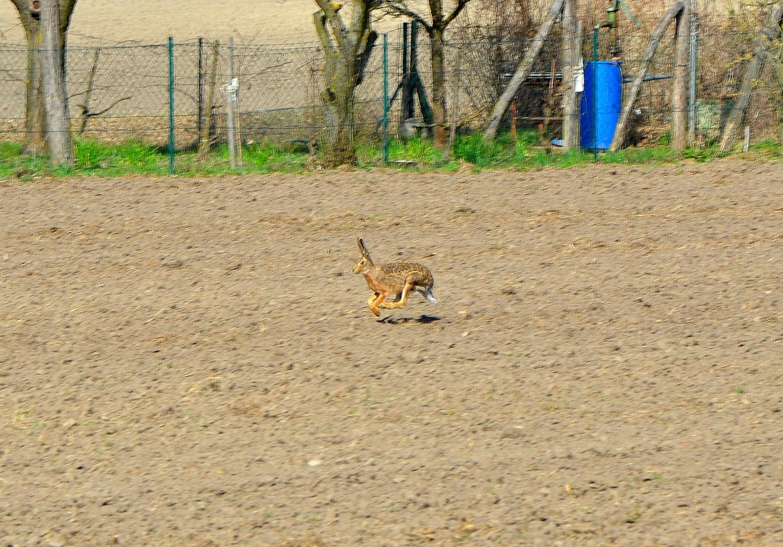 Der Osterhase ist unterwegs.