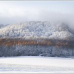 Der Osterwald im Winter