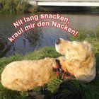 Der Ostfriesen-Trinkspruch: übersetzt in die Hundesprache