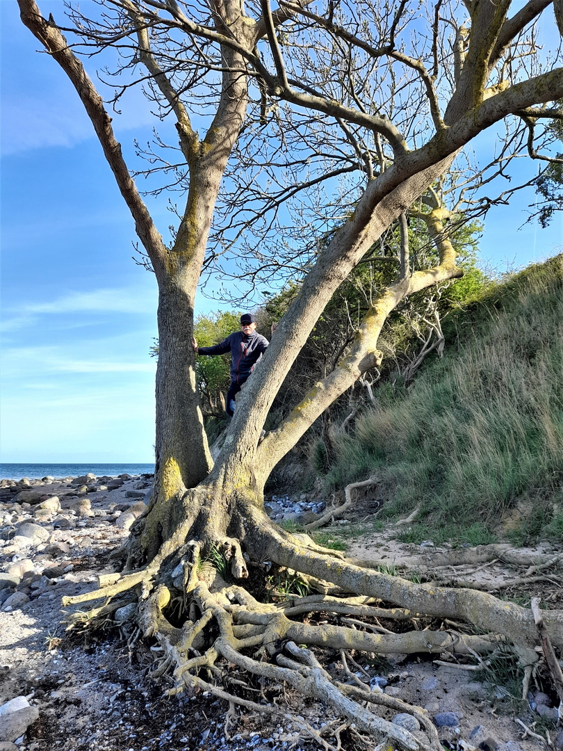 Der Ostseeküstentarzan