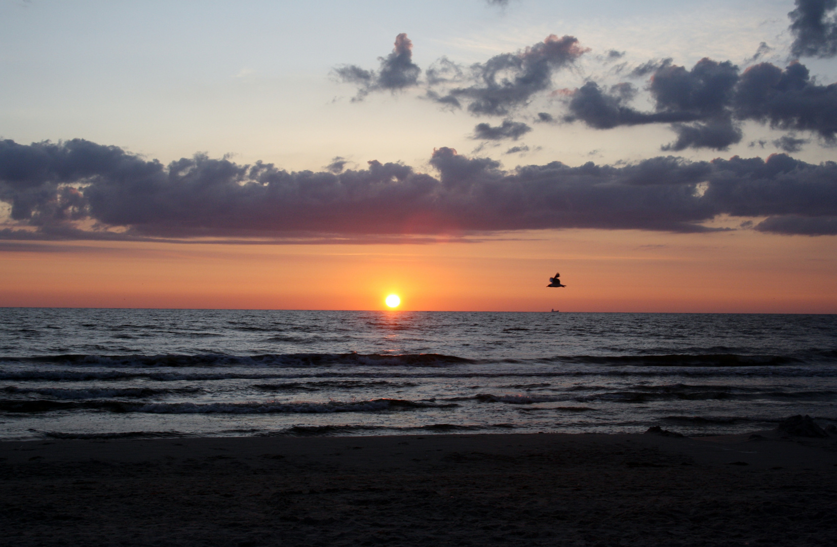 Der Ostseestrand