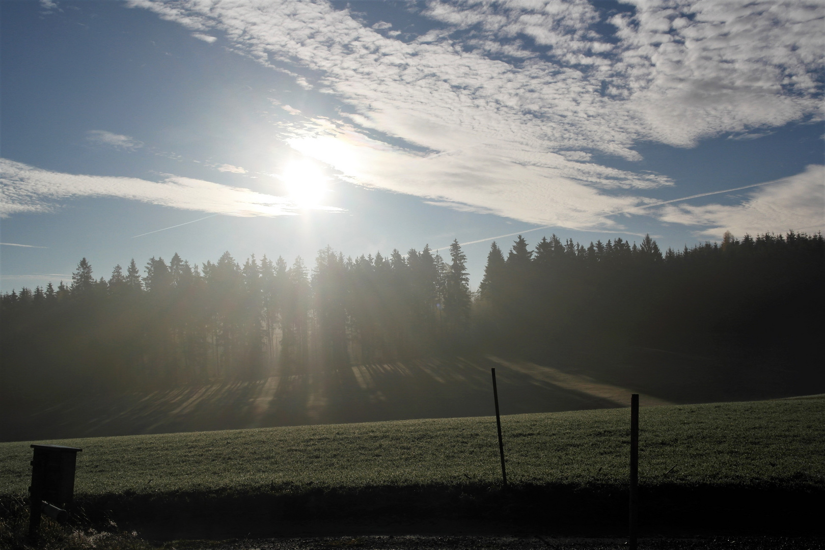 Der Ottenberg bei Friedmannsdorf frühmorgens  im Gegenlicht