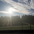 Der Ottenberg bei Friedmannsdorf frühmorgens  im Gegenlicht