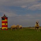 Der „Otto Leuchtturm“ mit seinen Schafen ...,