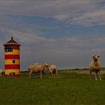 Der „Otto Leuchtturm“ mit seinen Schafen ...,