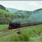 Der Packwagen hinter der 95 0027 nun mal von links bei Marktgölitz