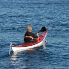 Der Paddler vor Helgoland