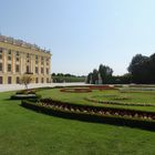 Der Palast und der wunderschöne Garten in Schönbrunn, Wien
