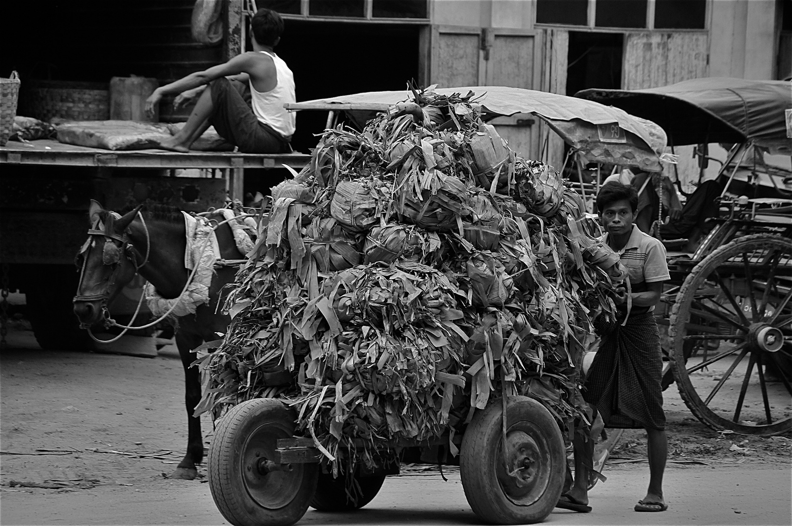 der palmenblätterpackerlwagenschieber, burma 2011