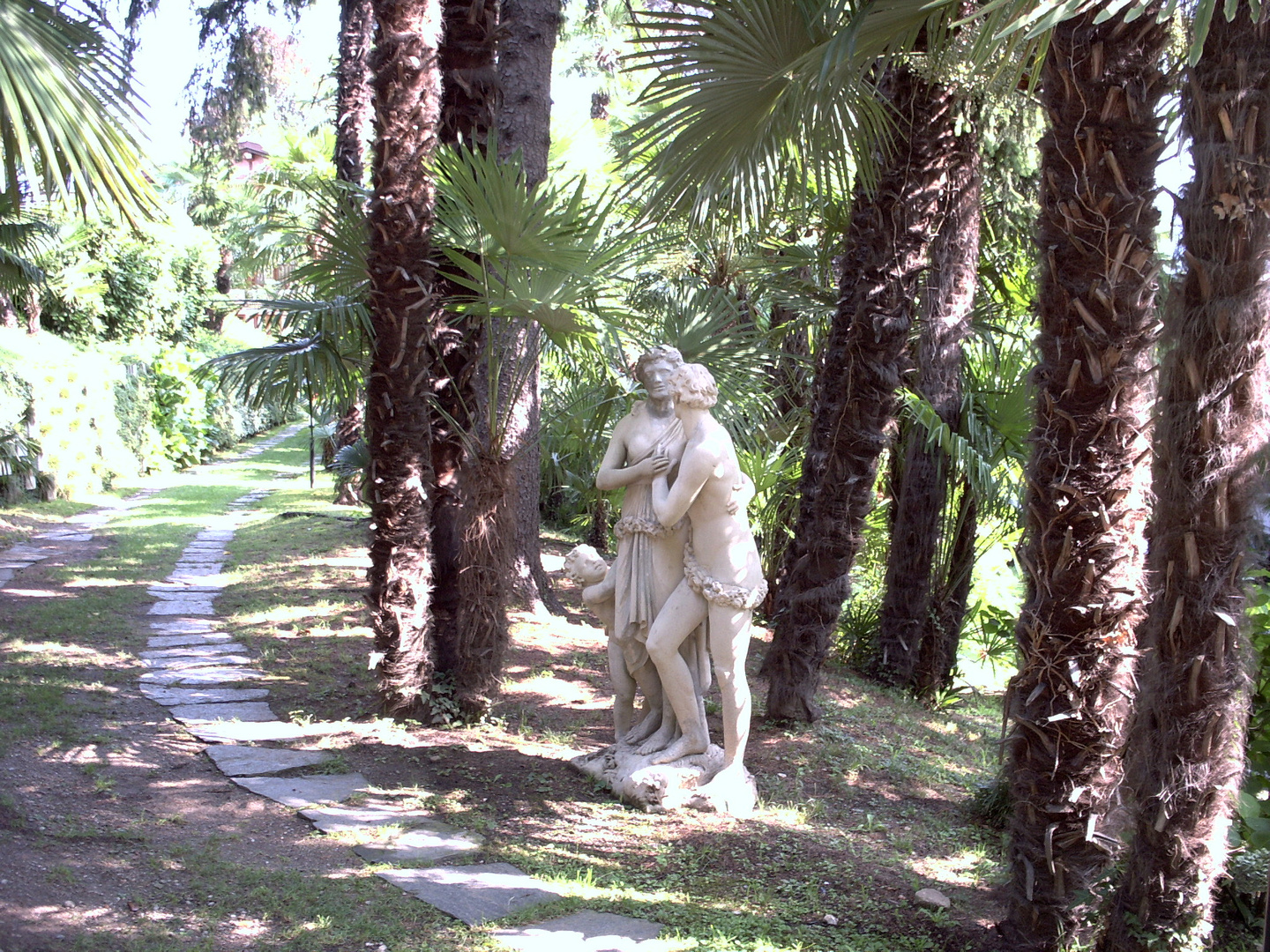 Der Palmengarten