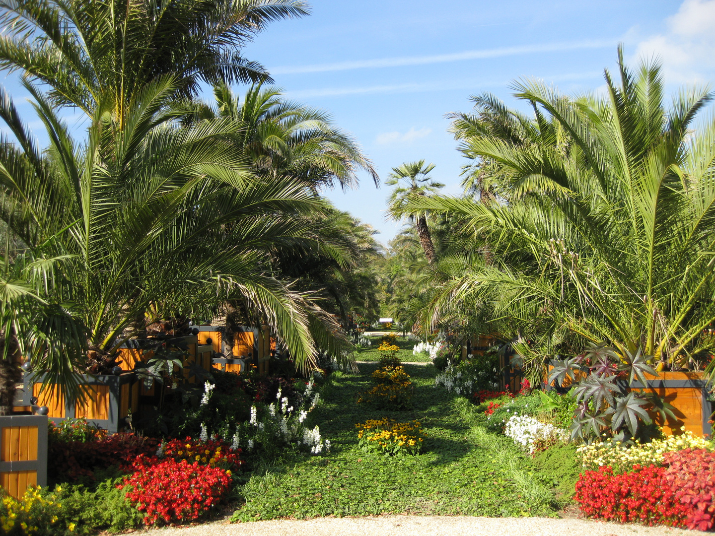 Der Palmengarten in Bad Pyrmont