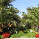 Der Palmengarten in Bad Pyrmont