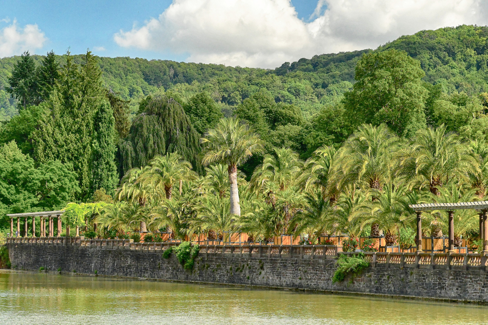 Der Palmengarten von Bad Pyrmont