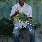 Der Palmzweighutmacher von Jamaika