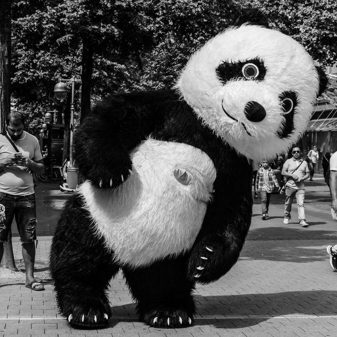 Der Panda - Mann ...