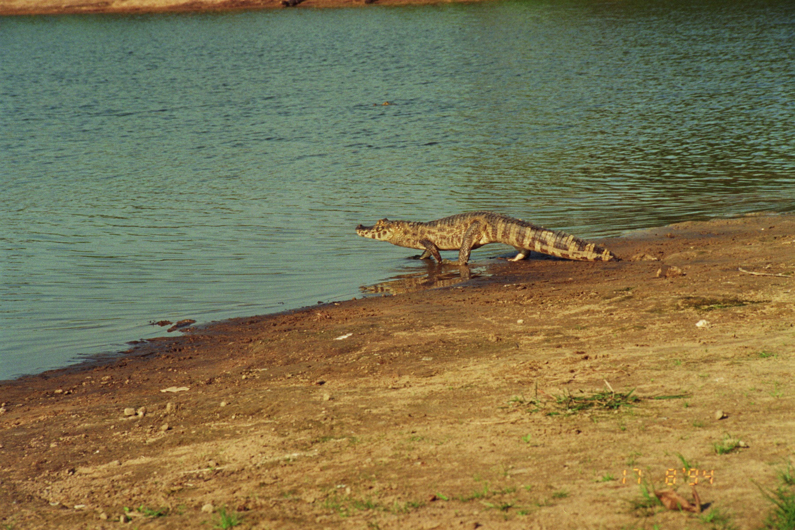 Der Pantanal - Badesee