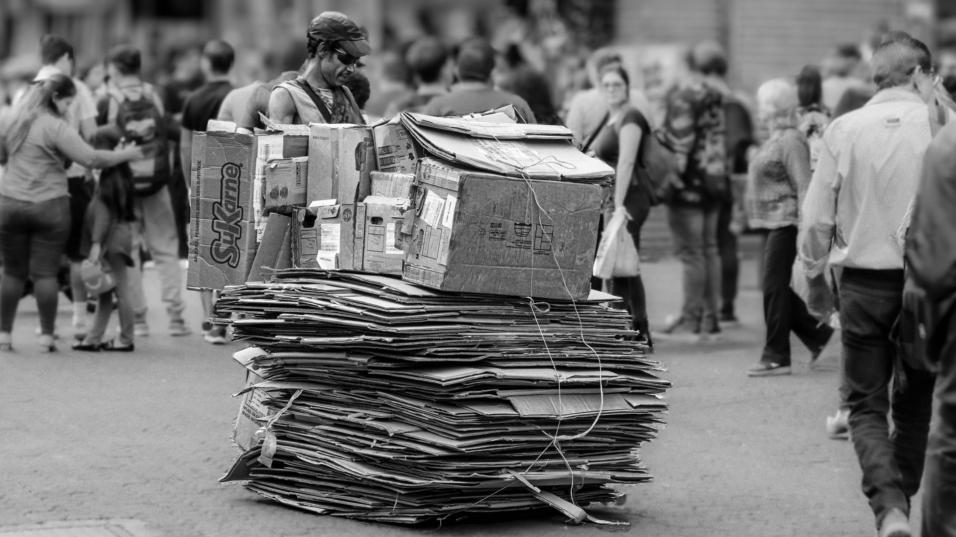 Der Pappsammler / The cardboard collector