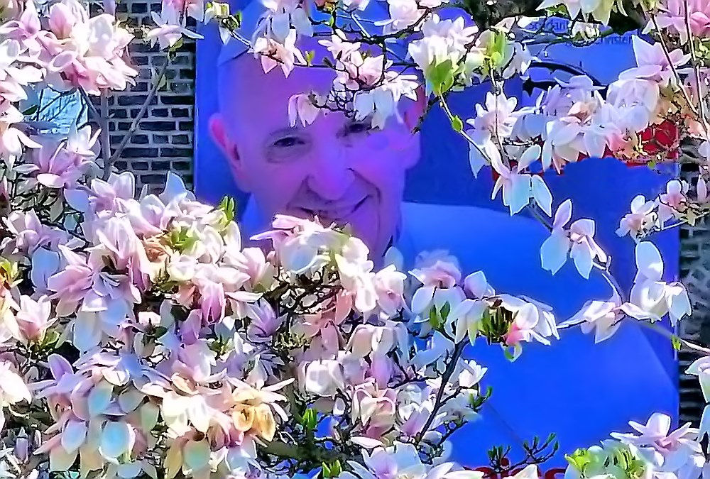 Der Papst im Frühling