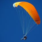 Der Paraglider