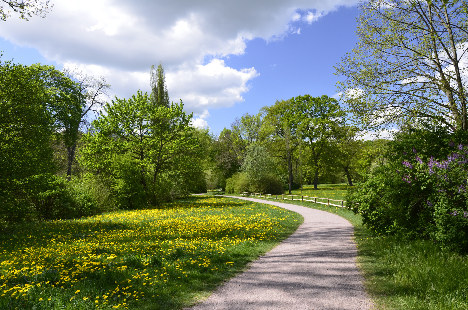 Der Park an der Ilm, Weimar