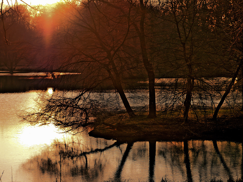 Der Park für die Bürger