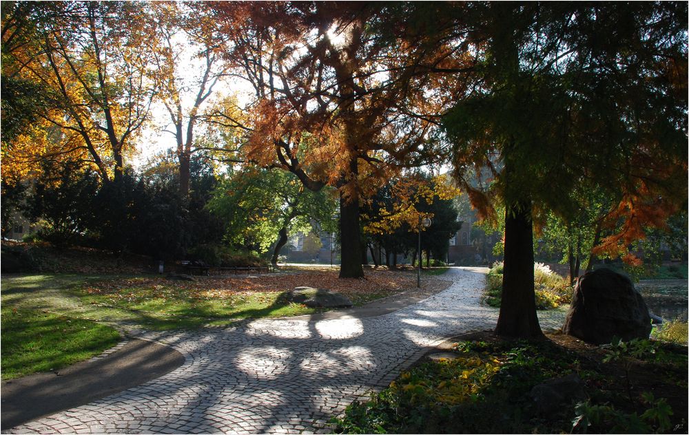 Der Park im Gegenlicht