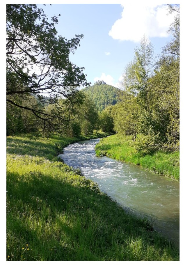 Der Park in Bad Urach