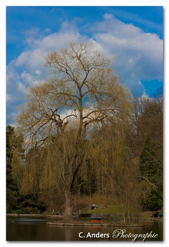 Der Park in Bamberg