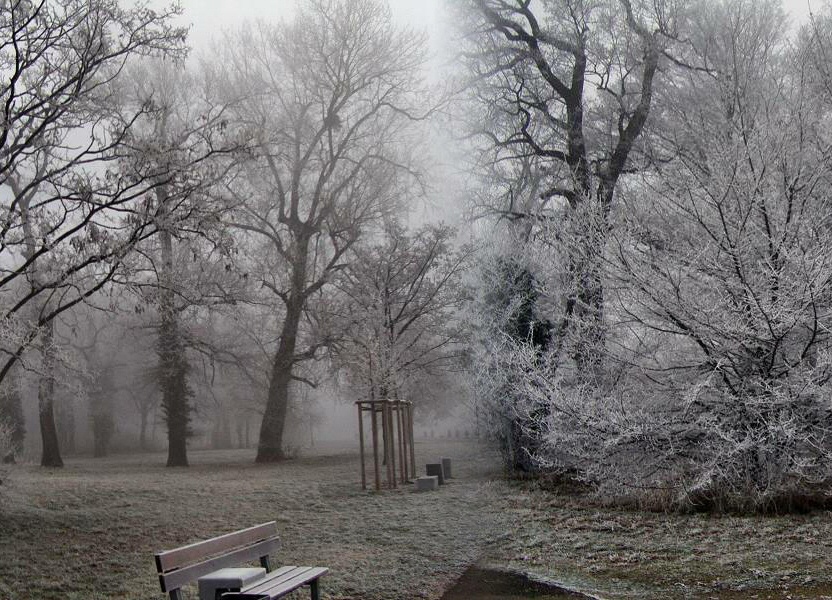 Der Park in Nebel u. Reif.