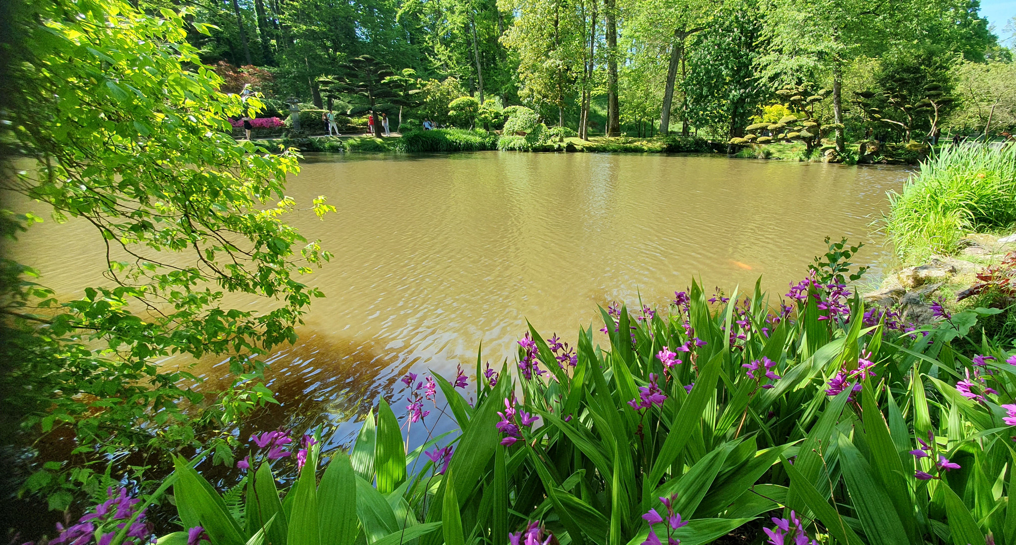 Der Park Oriental in Maulevrier / Frankreich