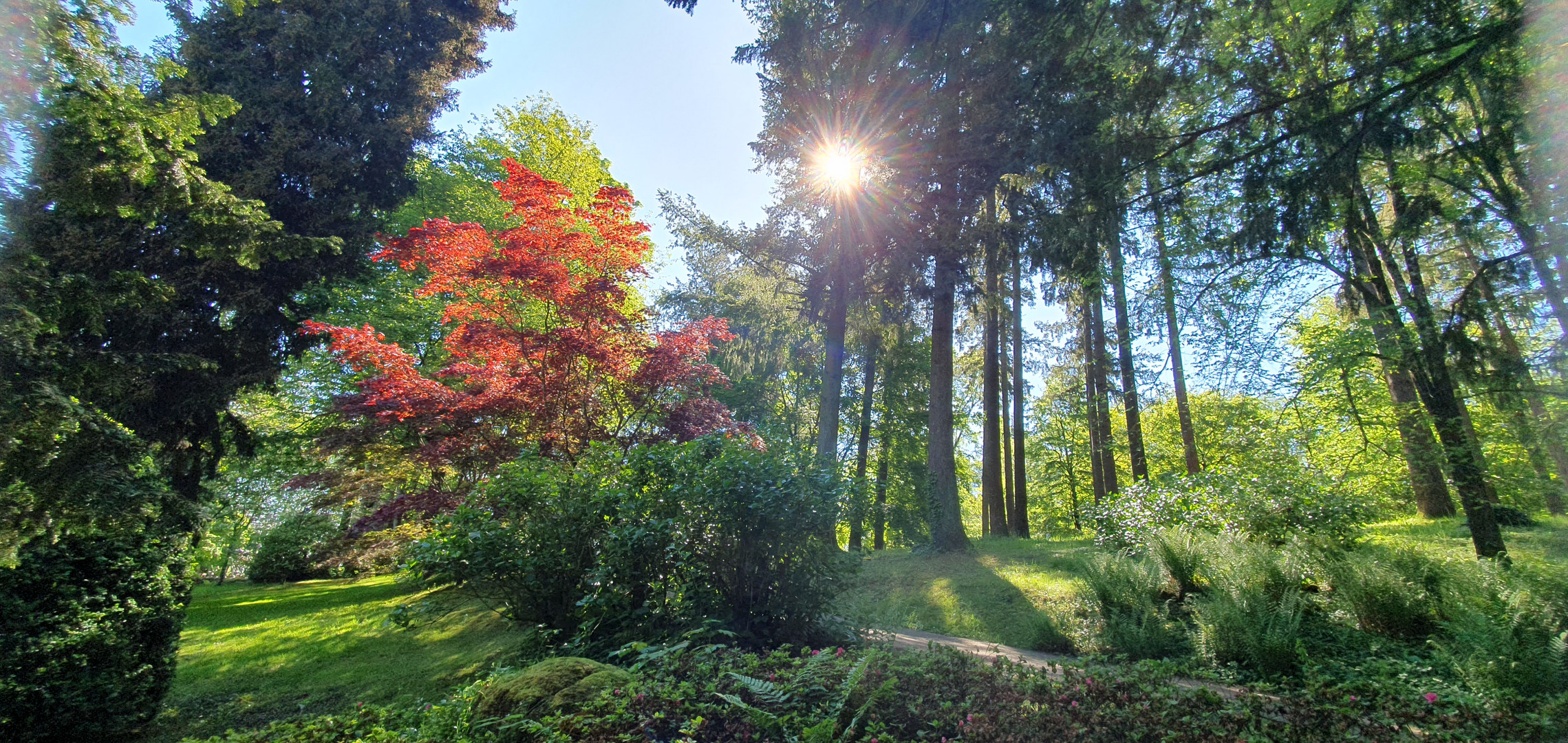 Der Park Oriental in Maulevrier / Frankreich