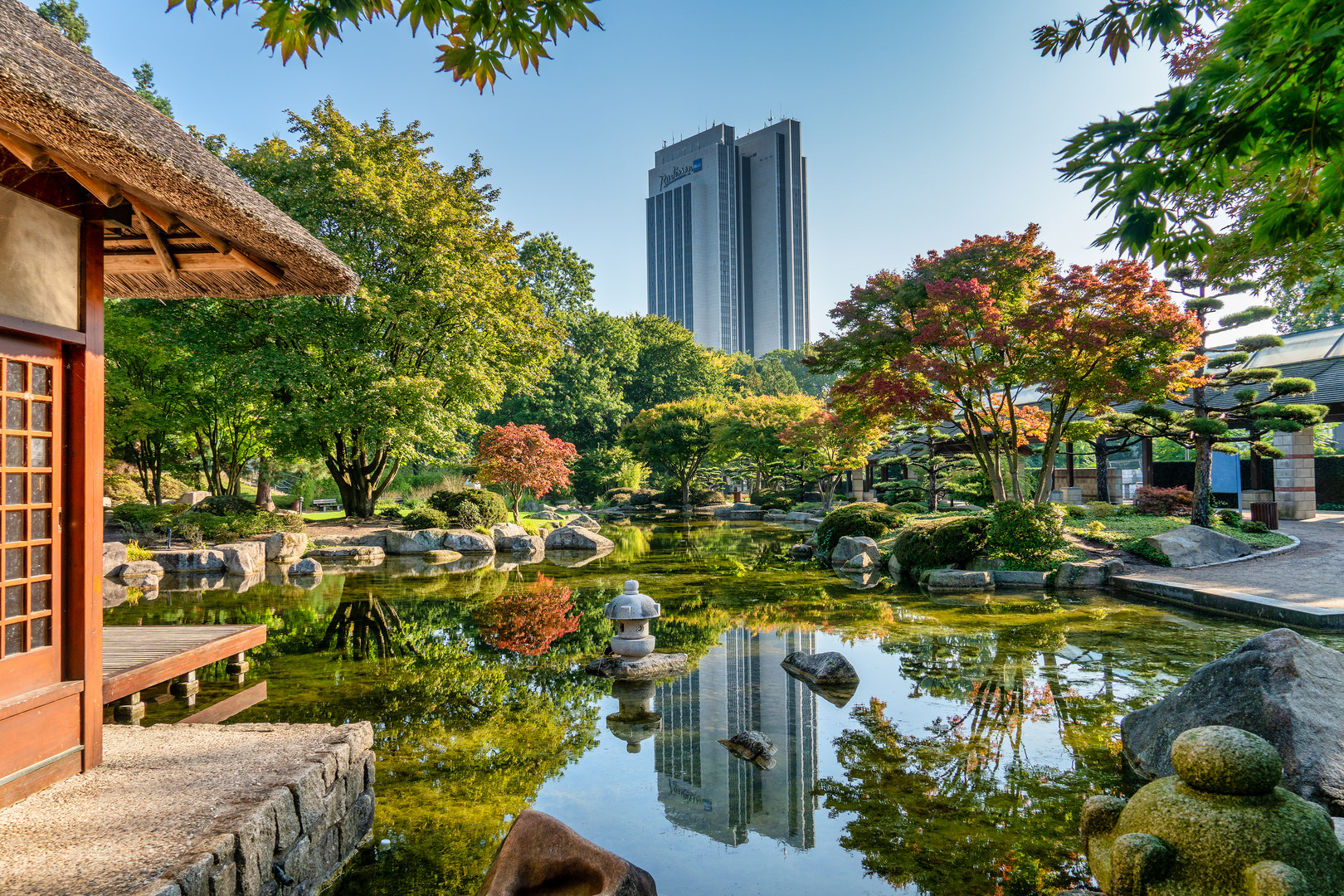 DER PARK PLANTEN UN BLOMEN IN HAMBURG IM SEPTEMBER 2020