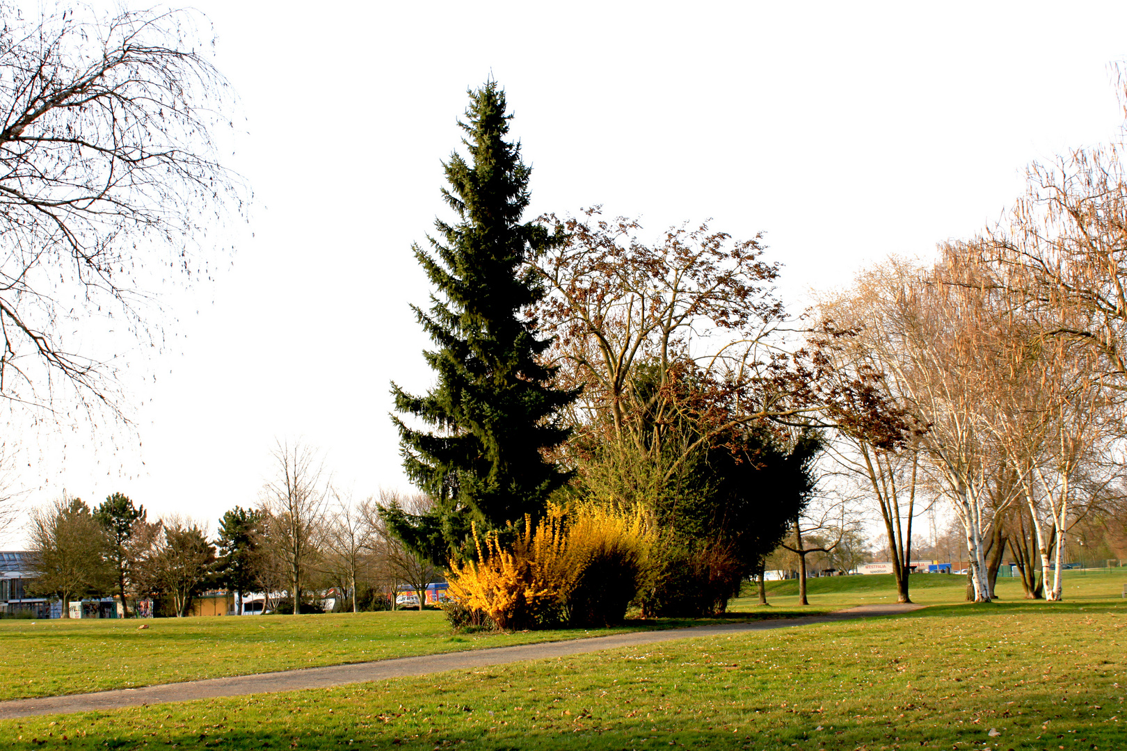 Der Park und Ich