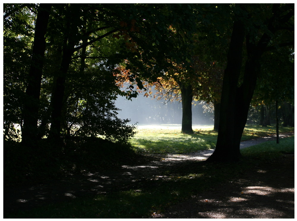 der Park vor der Haustür