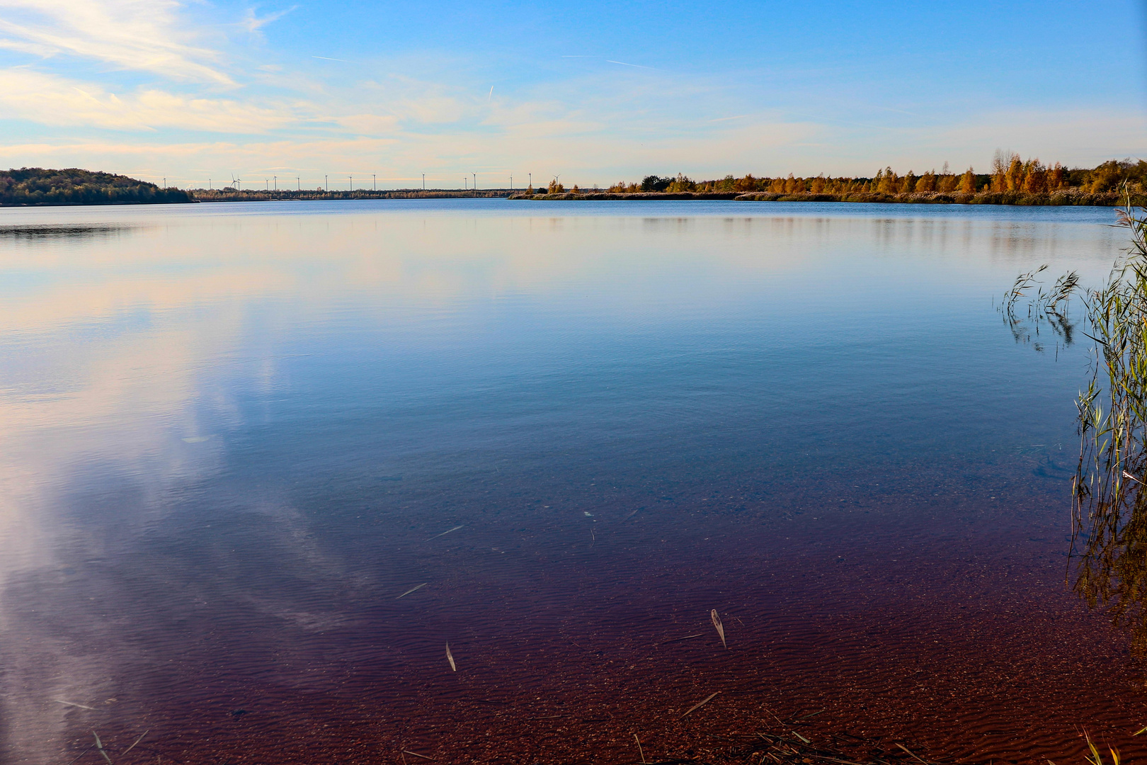 Der Paupitzscher See