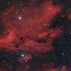 Der Pelikannebel im Sternbild Cygnus