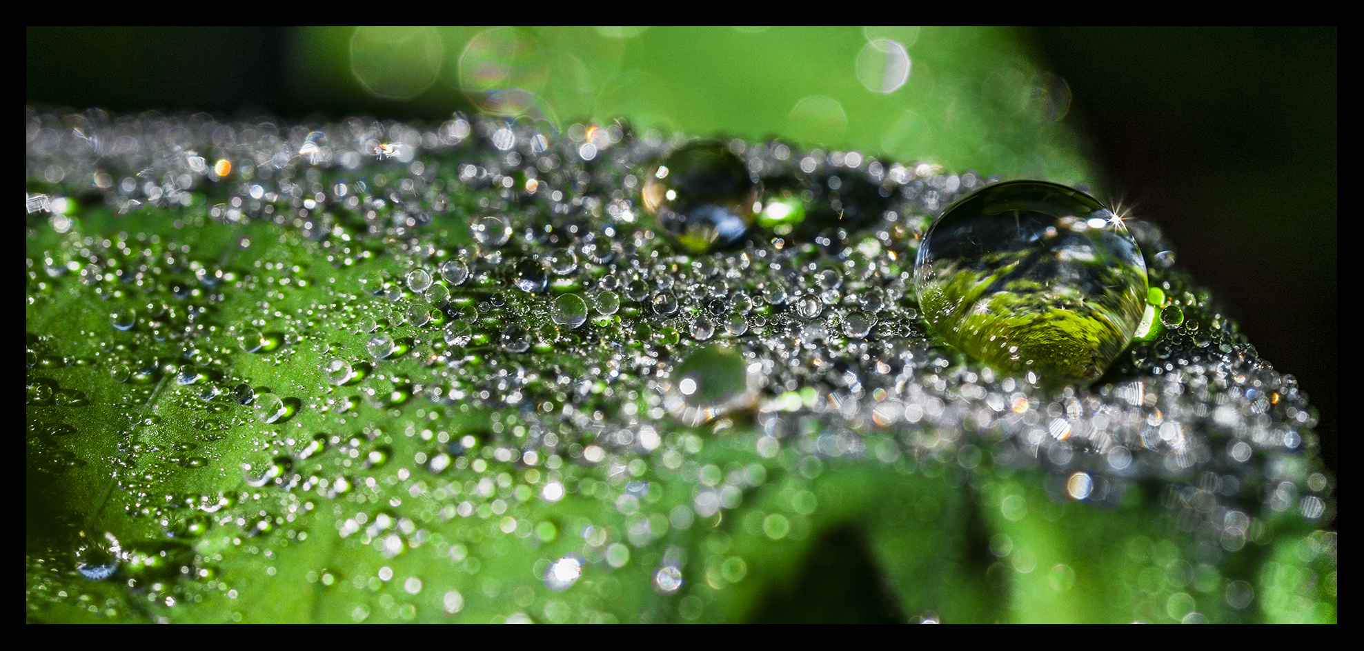 Der perfekte Wasserball