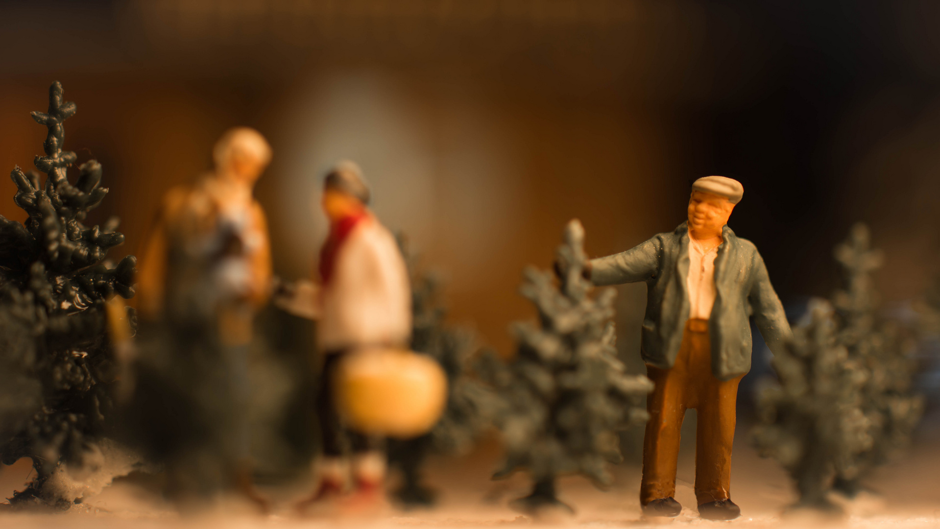 Der perfekte Weihnachtsbaum Foto & Bild stillleben, kunstfotografie