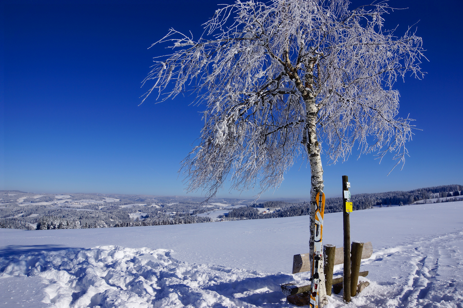 Der perfekte Wintertag