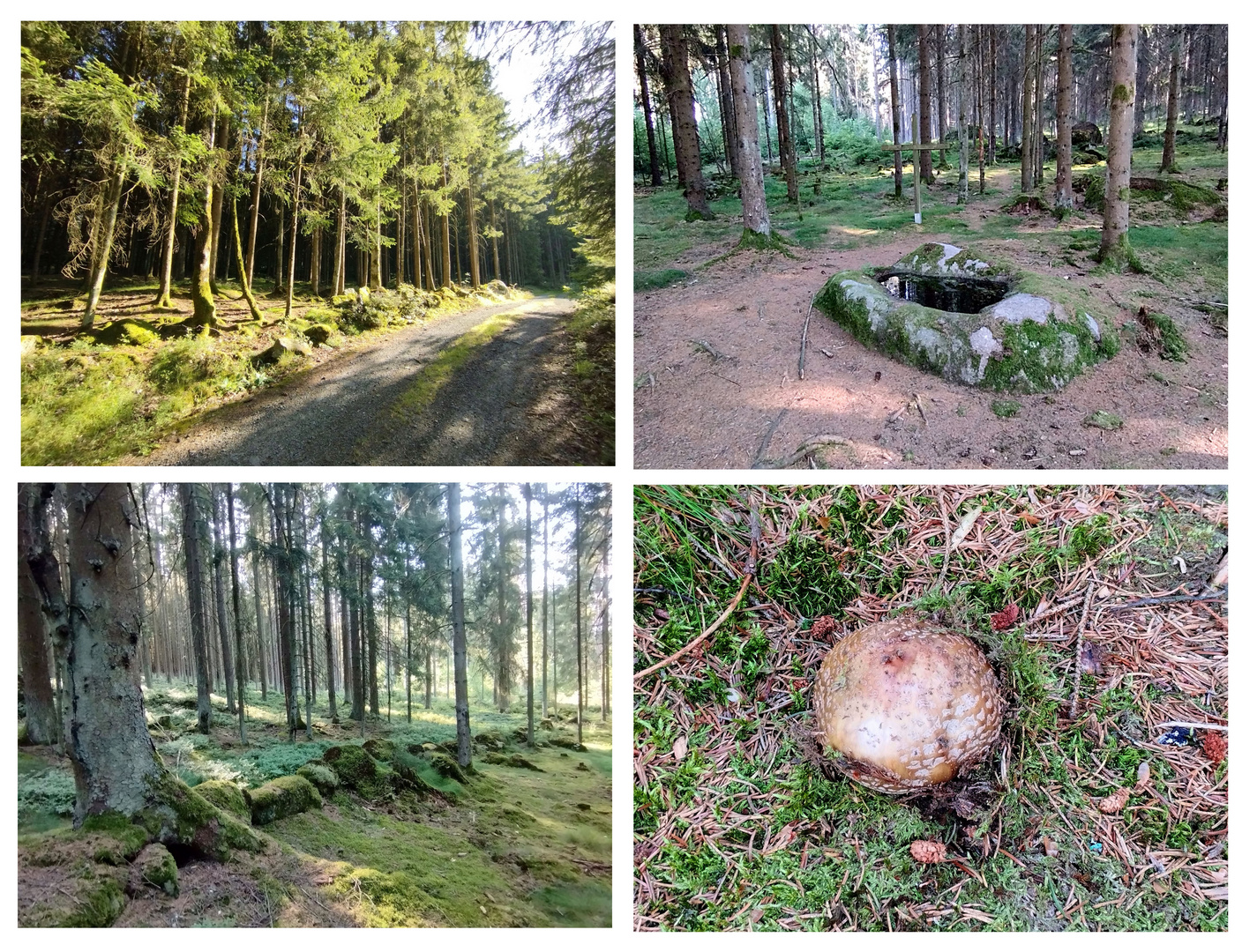 Der Pestilenzgarten bei Kornbach