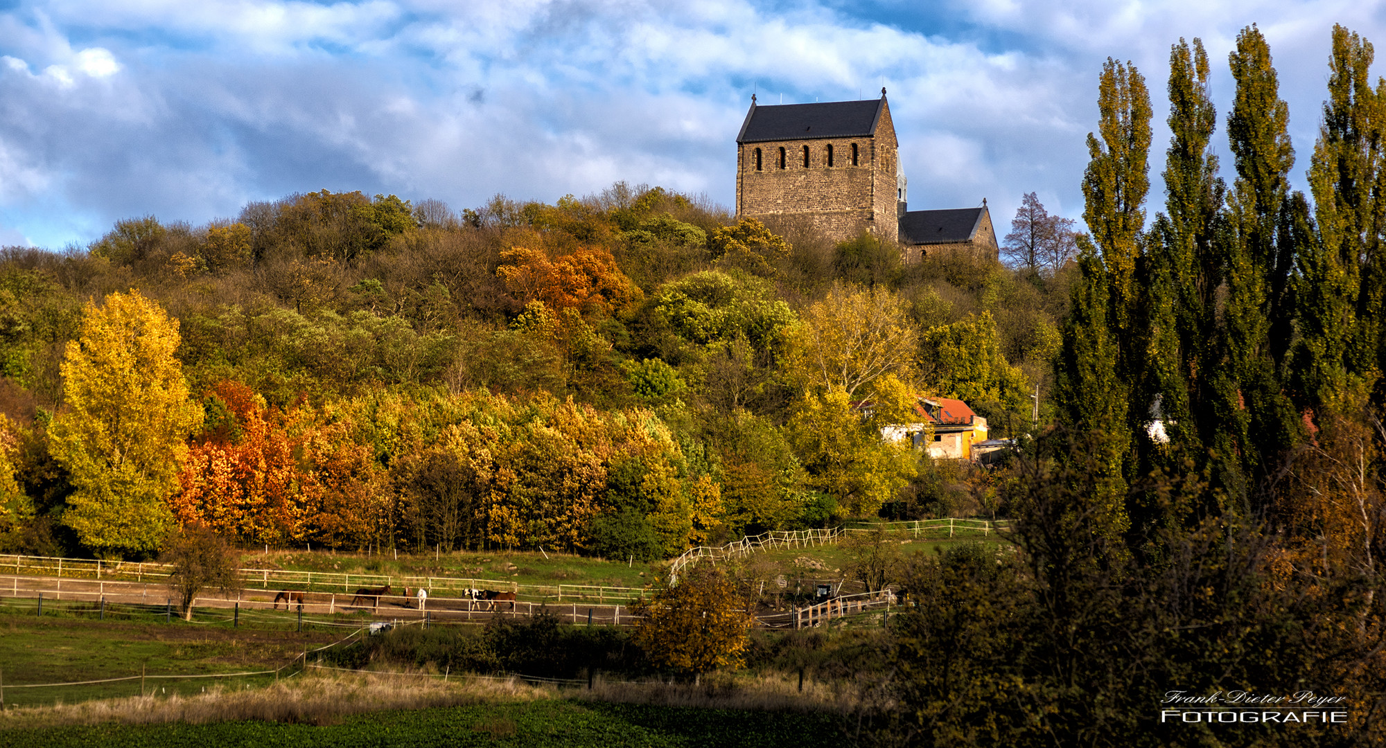 Der Petersberg