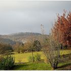 Der Peterskopf im Herbst